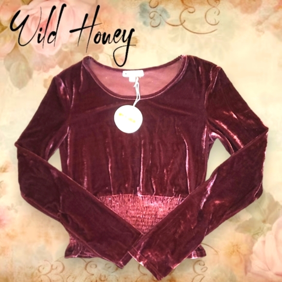 NWT Women's Wild Honey Wine Velvet, Long Sleeve Crop Top Size: L - Picture 1 of 9